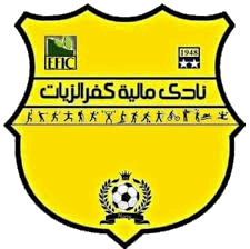 مالية كفر الزيات